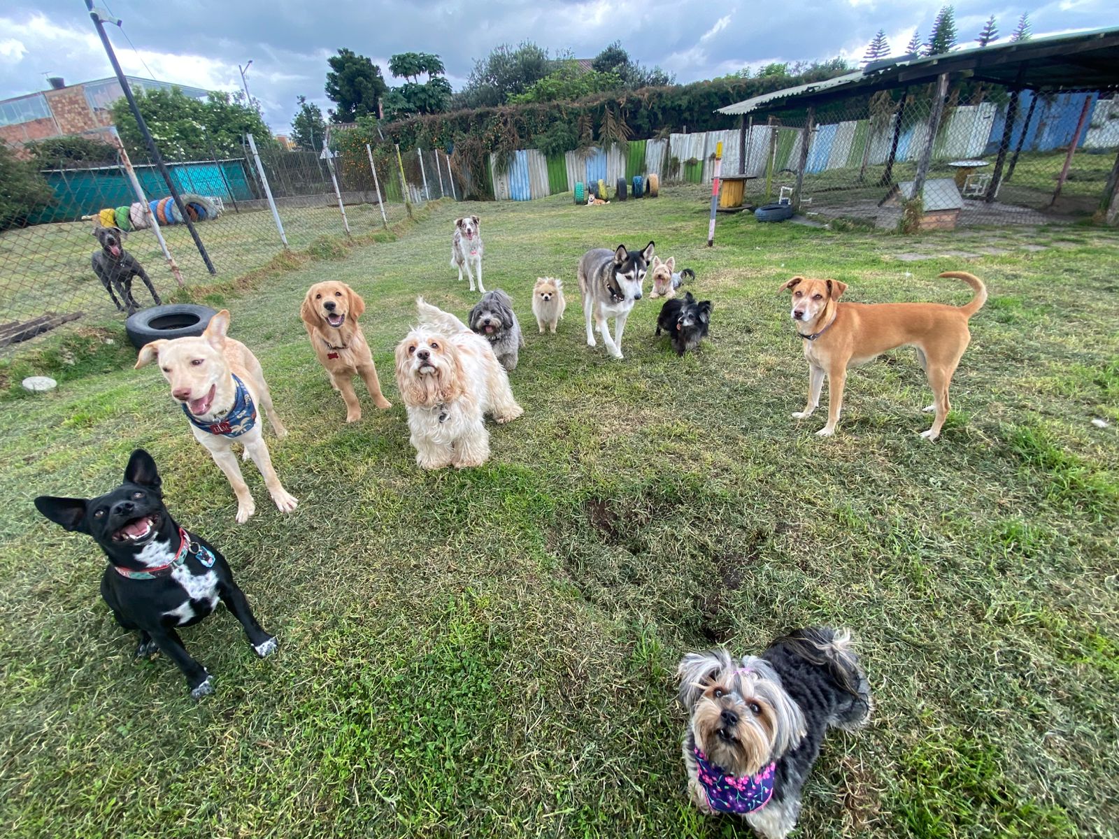 Zona de actividades